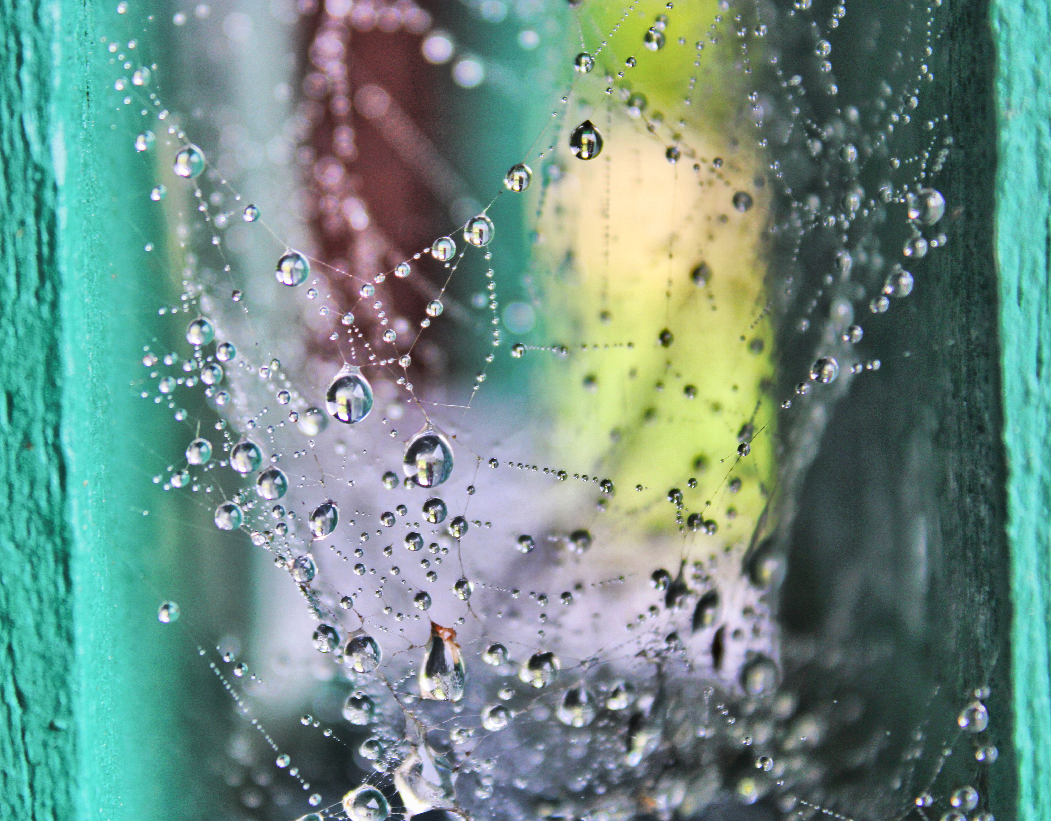 Spider web drops