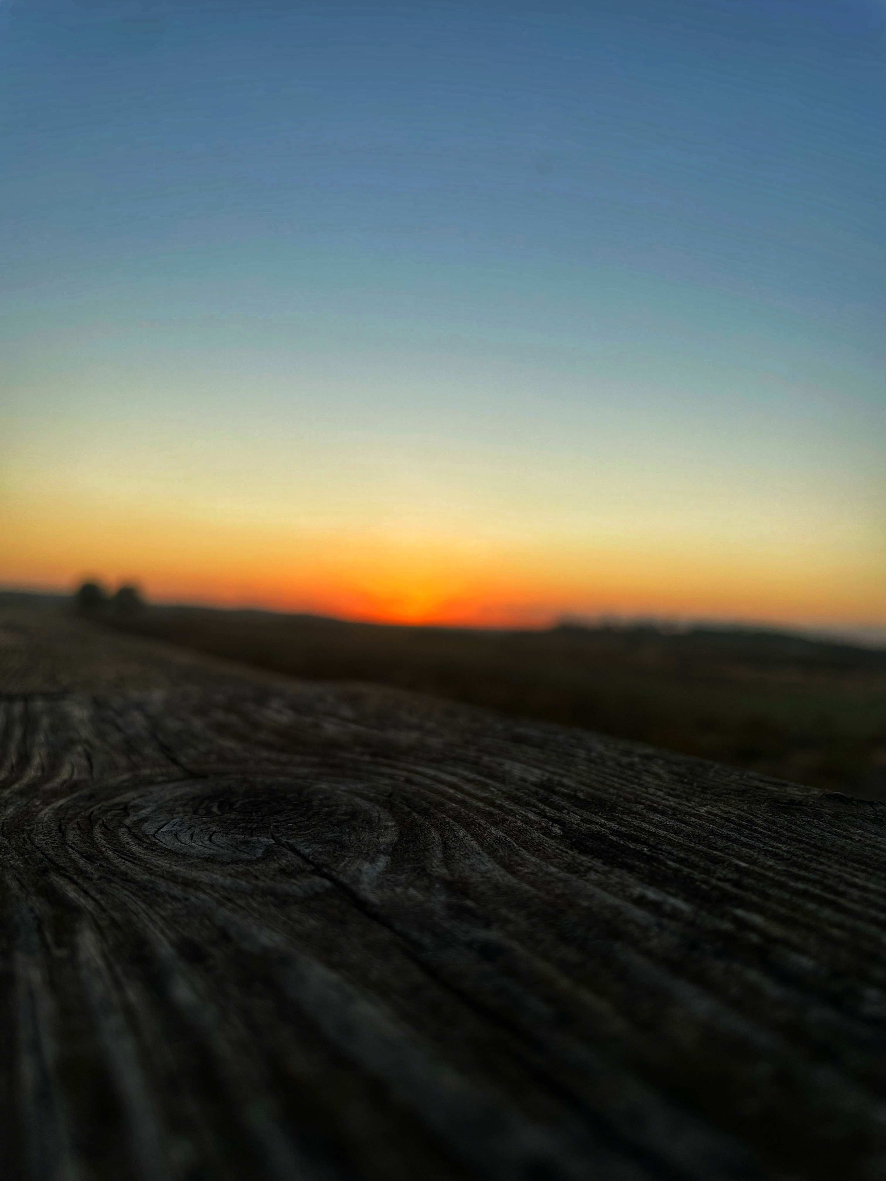 Sunset wood